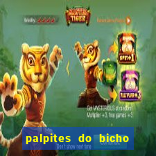 palpites do bicho no celular